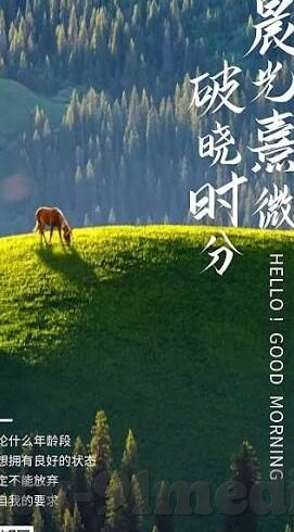 成人小视频免费视频在线观看-成人小视频，网络时代的隐秘角落
