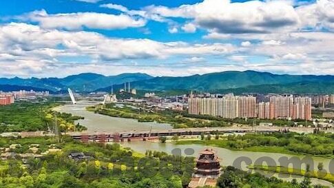 果冻传媒杨柳资料-探寻果冻传媒的杨柳，一位行业新锐的崛起之路