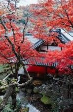 果冻传媒怎么进-探索果冻传媒的进入之道，解锁数字娱乐新篇章