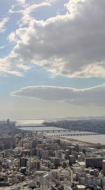 麻豆传媒在线观看app-揭秘网络迷思，深度剖析麻豆传媒现象及其影响