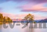 日韩av亚洲av欧美av在线-探索成人娱乐世界的多元视角，日韩AV、亚洲AV与欧美AV的在线体验