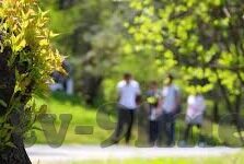 在线视频 麻豆 91-当麻豆 91遇见在线视频，新媒体时代的娱乐新探索