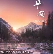 中文字幕大香蕉在线观看-中文字幕大香蕉，探索网络视频的多元体验